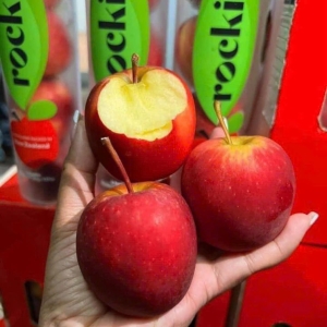 Đa Dạng Sản Phẩm Trái Cây Tươi, Trái Cây Sạch Tại One Fruit – Lựa Chọn An Tâm Cho Sức Khỏe