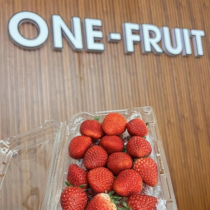 Độ Tươi Của Trái Cây Khi Mua Tại One Fruit – Yếu Tố Làm Nên Chất Lượng Khác Biệt