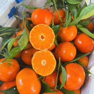 Dịch Vụ Giao Hàng Tận Nơi Tại One Fruit – Nhanh Chóng, Tiện Lợi, Đảm Bảo Độ Tươi